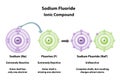 Sodium Fluoride ionic compound created