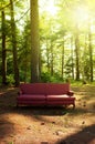 Sofa Royalty Free Stock Photo