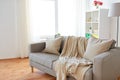 Sofa with cushions at cozy home living room