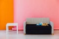 sofa with flowers and gifts coffee table on pink background interior in the room Royalty Free Stock Photo