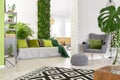 Sofa with green pillows and blanket standing in open space living room interior with grey armchair and footrest, black and white Royalty Free Stock Photo