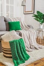 Sofa with green plaid in the interior