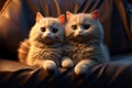Sofa scene AI generated cats cuddle, tenderly clutching a heart