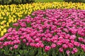 Garden in front of National Theatre Ivan Vazov in Sofia, Bulgaria Royalty Free Stock Photo