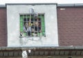 Boxing match in the prison