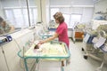 Newborn babies in birth hospital