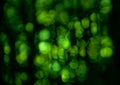 Soft abstract bokeh background with pale green light circles Royalty Free Stock Photo