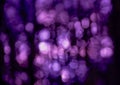 Soft abstract bokeh background with lila colored light circles Royalty Free Stock Photo