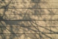 Soft abstract natural pattern of big tree branches shadow on light brown wooden plank strip grain texture surface walkway Royalty Free Stock Photo