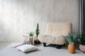 Soft armchair with plants in room interior design Royalty Free Stock Photo