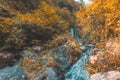 Soft autumn landscape view of a small river