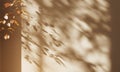 Soft autumn shadows cast on a warm beige wall create a serene atmosphere Royalty Free Stock Photo