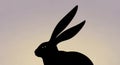 And the soft background highlights the rabbit s form creating a Royalty Free Stock Photo