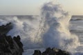 Soft backlit big stormy wave splash Royalty Free Stock Photo