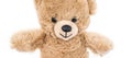 Soft bear toy isolated