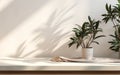 Soft beige cotton tablecloth on counter table tropical dracaena tree in sunlight on white wall background for luxury fresh organic