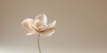 Soft beige flower luxury banner background. Royalty Free Stock Photo