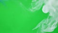 Soft billowing smoke clouds float softly diffusing their edges into the backdrop. Green screen chromakey.