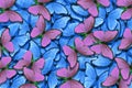 Soft blue and pink natural textural background. Wings of a butterfly Morpho. Flight of bright butterflies abstract background. Royalty Free Stock Photo