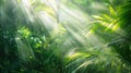 Soft-blur of a tropical rainforest with vibrant foliage and sunlight filtering through Royalty Free Stock Photo