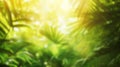 Soft-blur of a tropical rainforest with vibrant foliage and sunlight filtering through Royalty Free Stock Photo