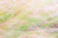 Soft blurred grass background | Website background | Innovative | Creative | Web backdrop | Graphic design