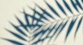 Abstract Palm Leaf Shadow Overlay Tropical Summer Background Blurred Teal and Beige Tones AI generated. Royalty Free Stock Photo