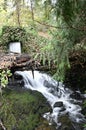 Woodland nature waterfall, soft water cascading in natural river in West Coast forest Royalty Free Stock Photo