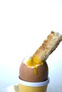 Soft boiled egg with buttered Royalty Free Stock Photo