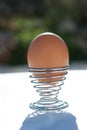 Soft-boiled eggs with spiral egg holder Royalty Free Stock Photo