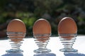 Soft-boiled eggs with spiral egg holder Royalty Free Stock Photo