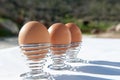 Soft-boiled eggs with spiral egg holder Royalty Free Stock Photo