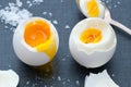 Boiled Eggs Royalty Free Stock Photo
