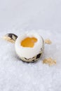 Soft-Boiled Quail Egg
