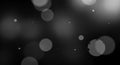 Soft bokeh light circles abstract defocused background Royalty Free Stock Photo
