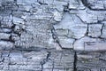 Soft focus. Charred wooden abstract background. Close-up of a hot charred piece of firewood Royalty Free Stock Photo