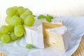 Soft cheese Royalty Free Stock Photo