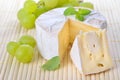 Soft cheese Royalty Free Stock Photo