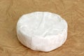 Soft cheese Royalty Free Stock Photo