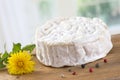Soft cheese camenbert Royalty Free Stock Photo