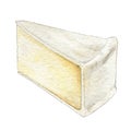 Soft cheese piece watercolor element. Creamy cutted brie or camembert cheese illustration. Tasty healthy cream organic