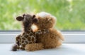 Soft children`s toys giraffe and cat, hugging, look out the window.