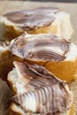 soft chocolate butter and white bread Royalty Free Stock Photo