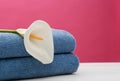 Soft clean towels with beautiful flower on table against color background. Royalty Free Stock Photo