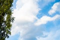 Soft cloud texture on blue sky Royalty Free Stock Photo