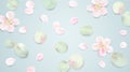 Soft color pastel background with flower petals. Royalty Free Stock Photo