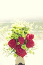 Soft color Roses Background Royalty Free Stock Photo