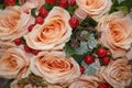 Soft Color Roses Background Royalty Free Stock Photo