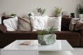 Soft comfortable velvet couch in empty living room with nobody