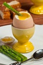 Soft cooked egg in an egg cup and asparagus-paleo diet Royalty Free Stock Photo